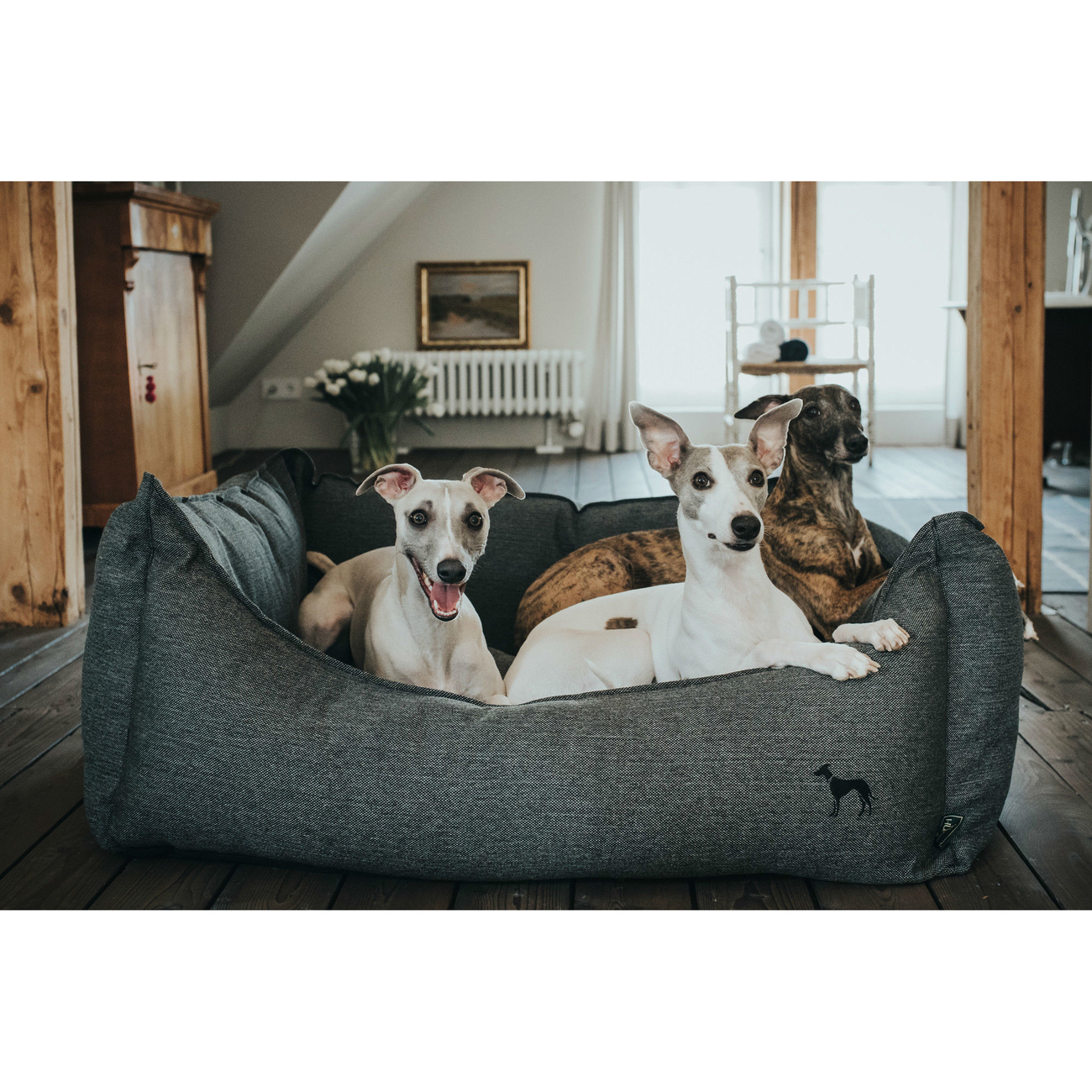 Hunter Hundesofa Livingston Bild 15