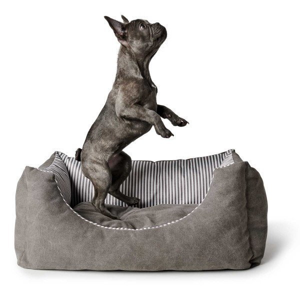 Hunter Hundesofa Palma Bild 3