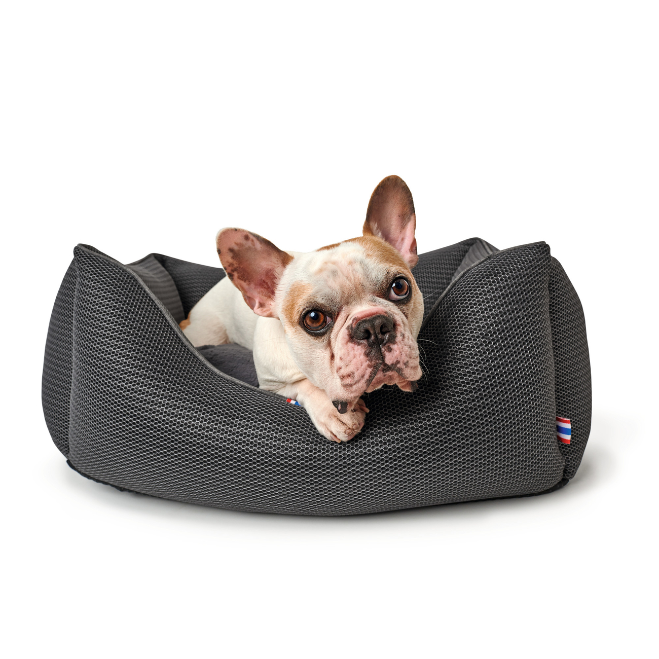 Hunter Hundesofa Toronto Bild 4