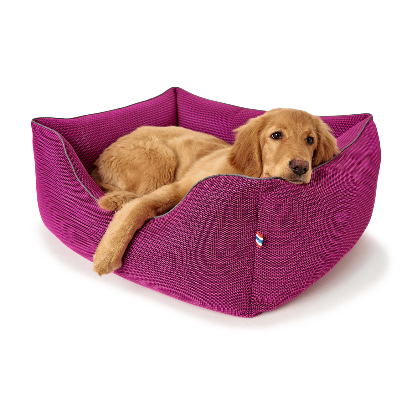 Hunter Hundesofa Toronto Bild 13