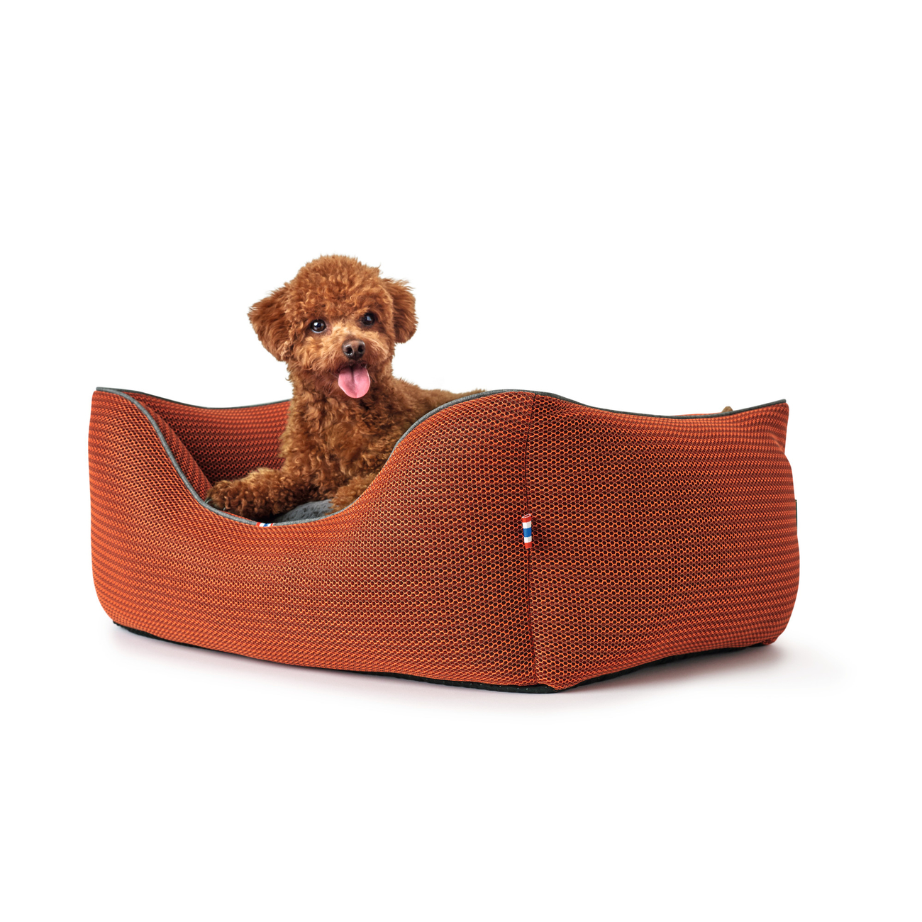 Hunter Hundesofa Toronto Bild 16