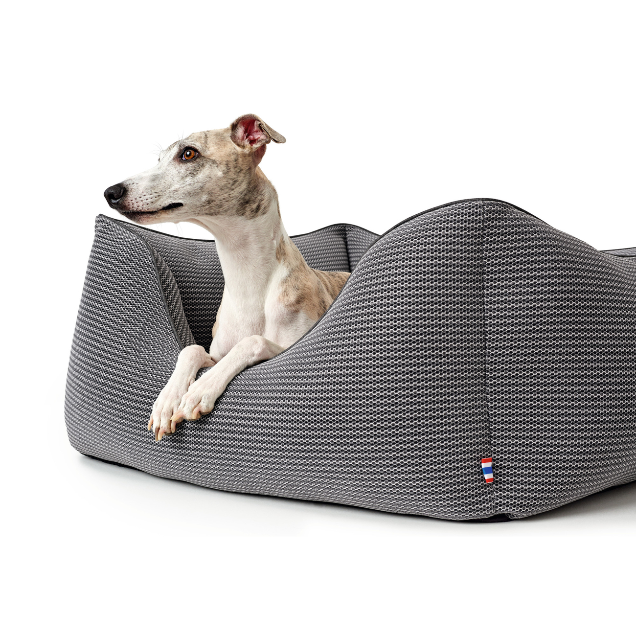 Hunter Hundesofa Toronto Bild 10