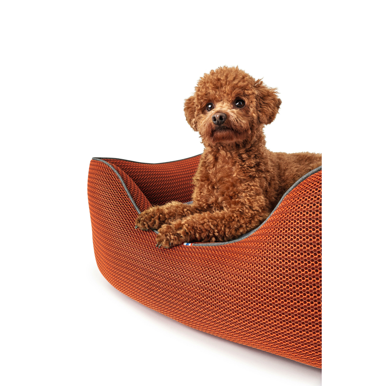 Hunter Hundesofa Toronto Bild 17