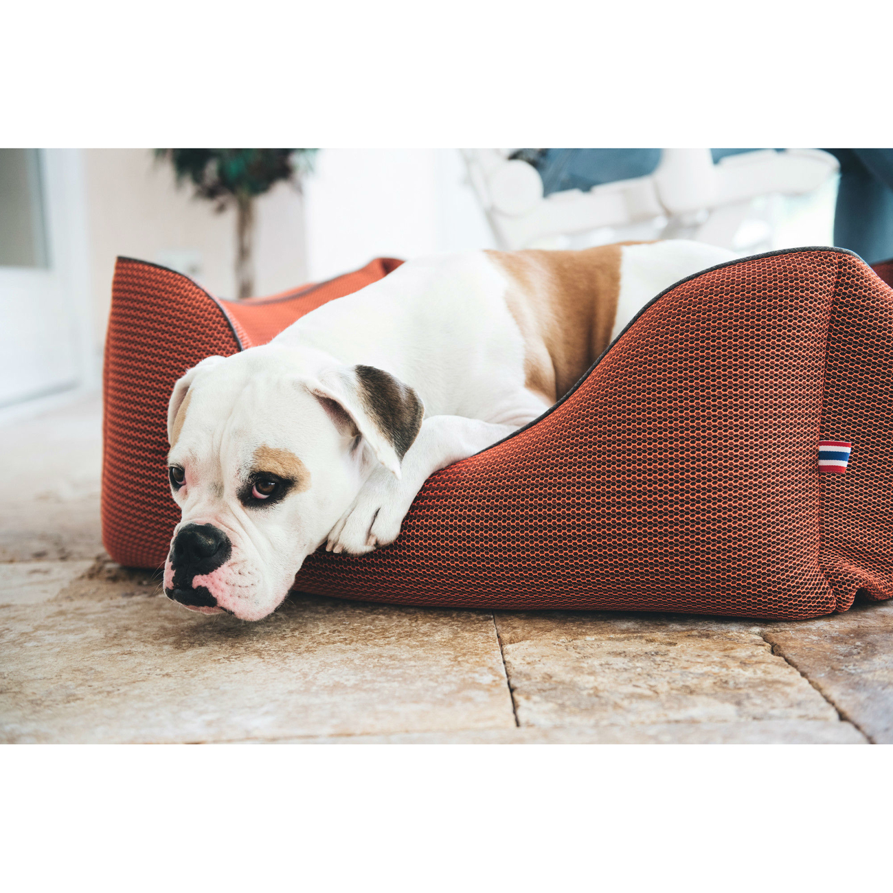 Hunter Hundesofa Toronto Bild 19