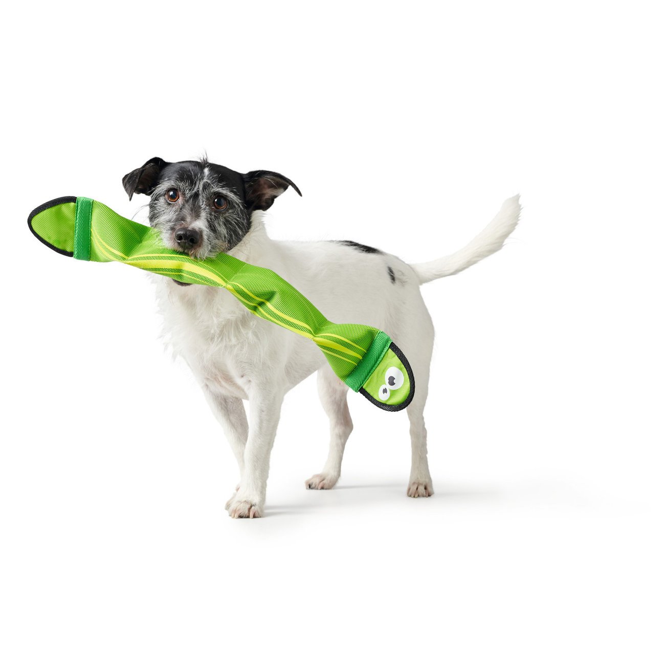 Hunter Hundespielzeug Aqua Mindelo Bild 5