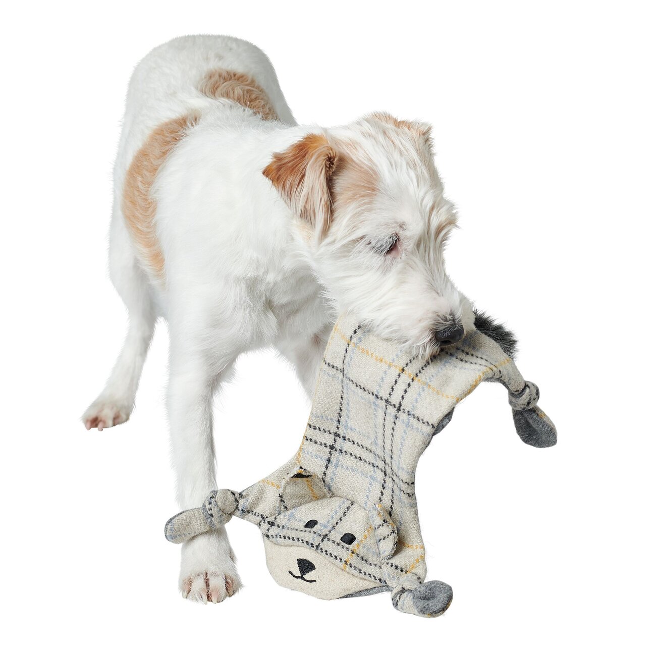 Hundespielzeug Billund flach für Hunde Bild 4