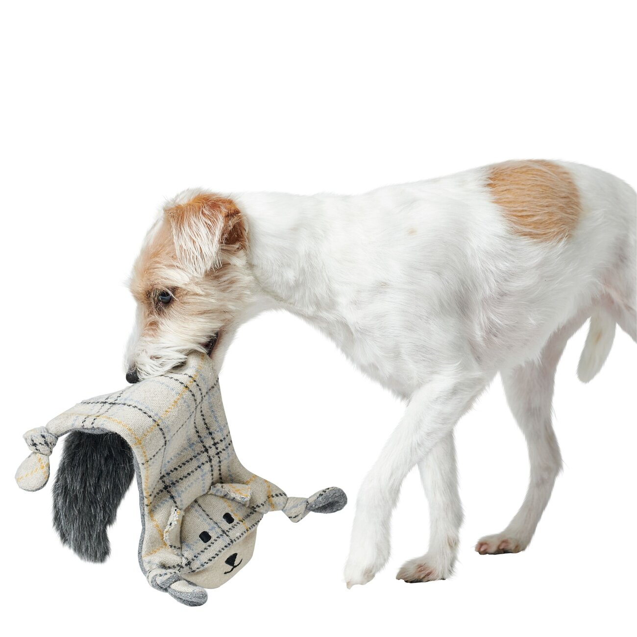 Hundespielzeug Billund flach für Hunde Bild 5