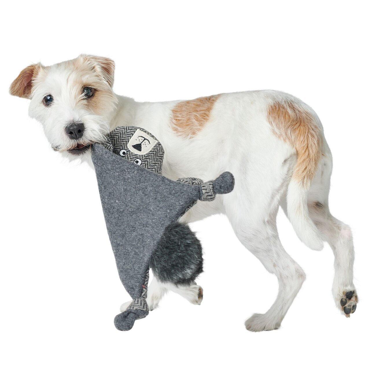 Hundespielzeug Billund flach für Hunde Bild 6