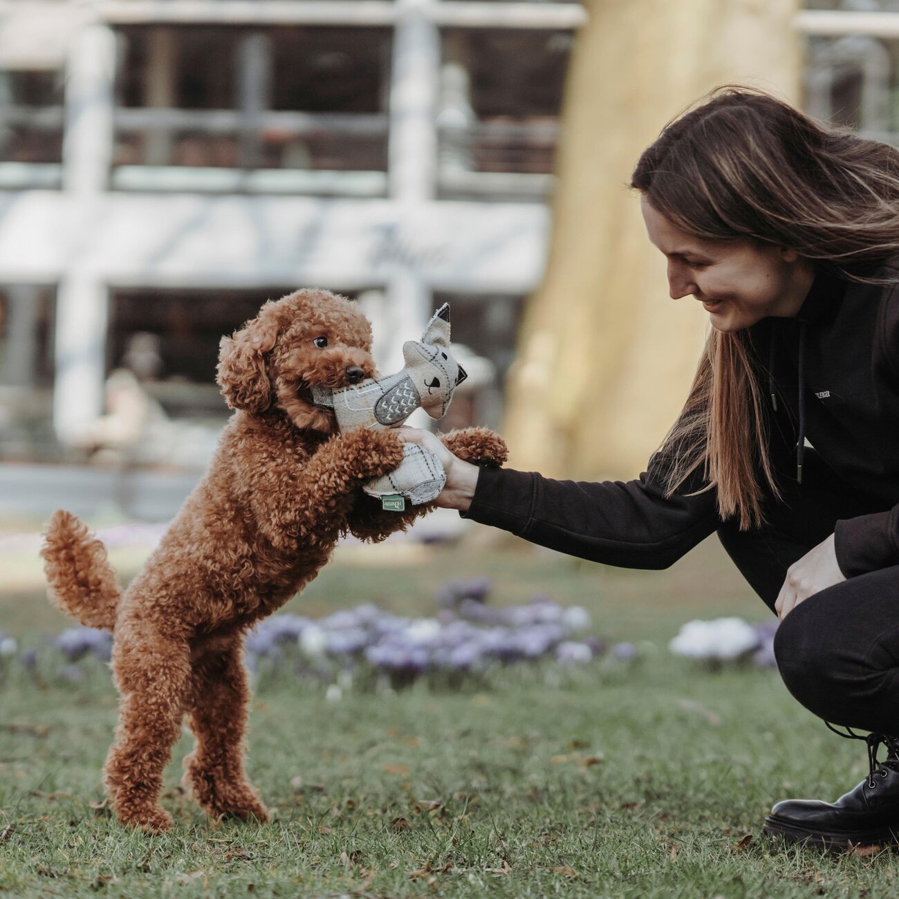 Hundespielzeug Billund Plüsch Bild 4