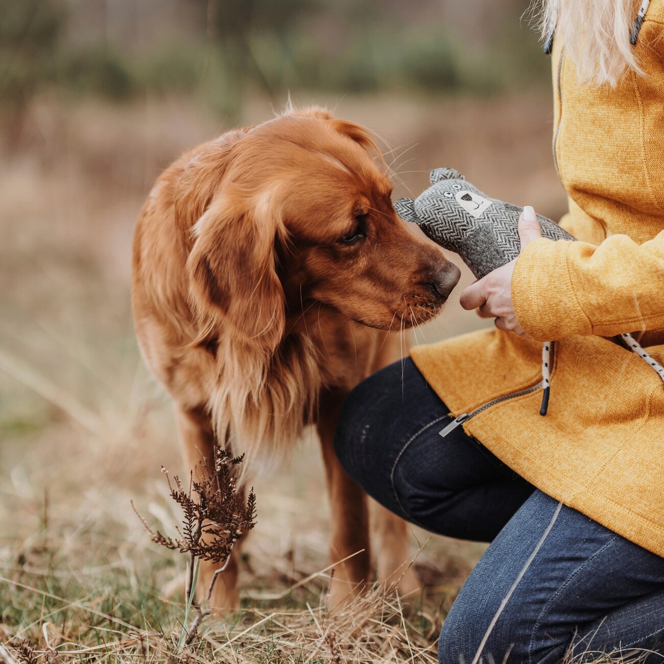 Hundespielzeug Billund Plüsch Bild 8