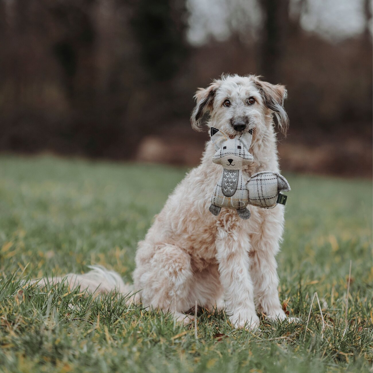 Hundespielzeug Billund Plüsch Bild 9