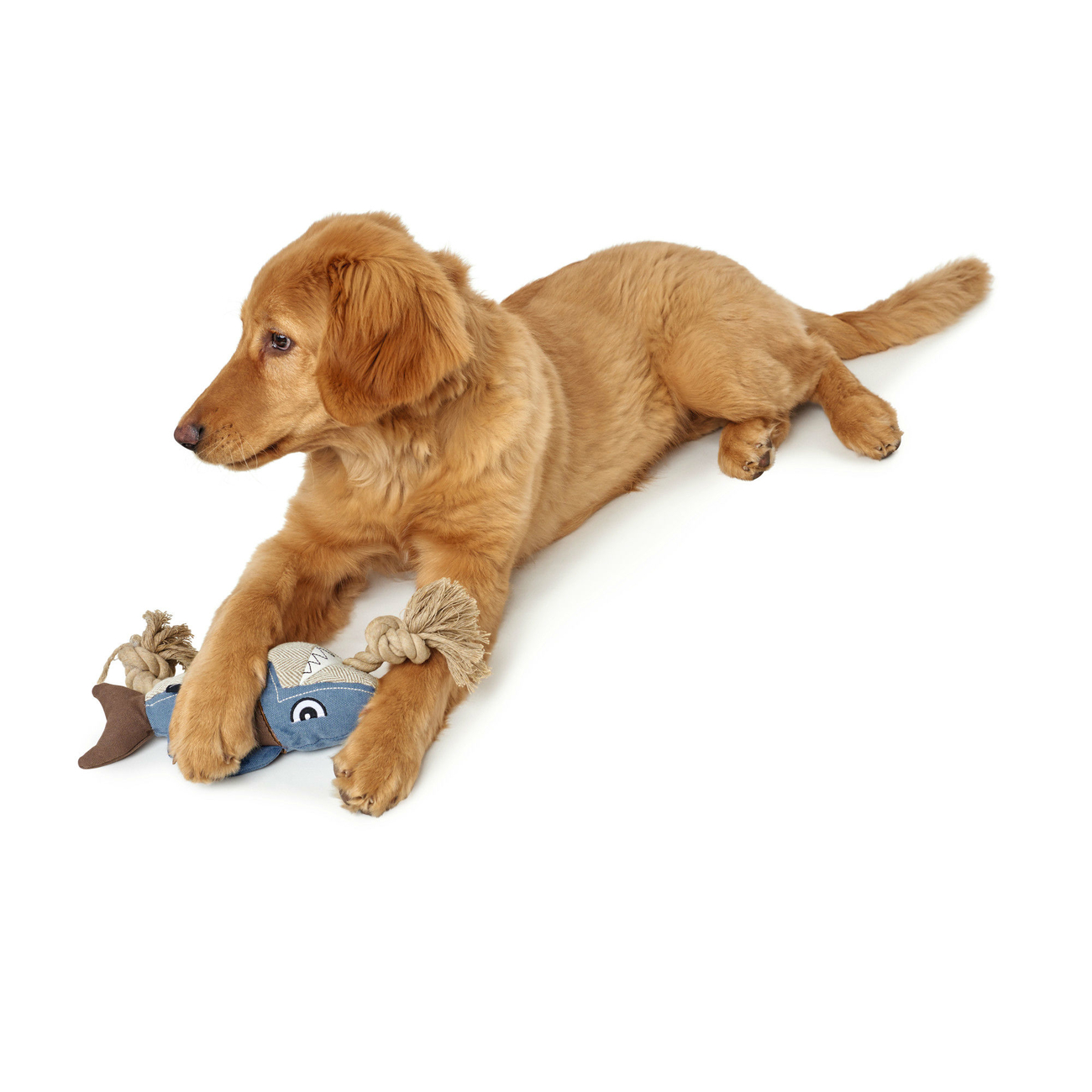 Hunter Hundespielzeug Canvas Sansibar Rantum Bild 4
