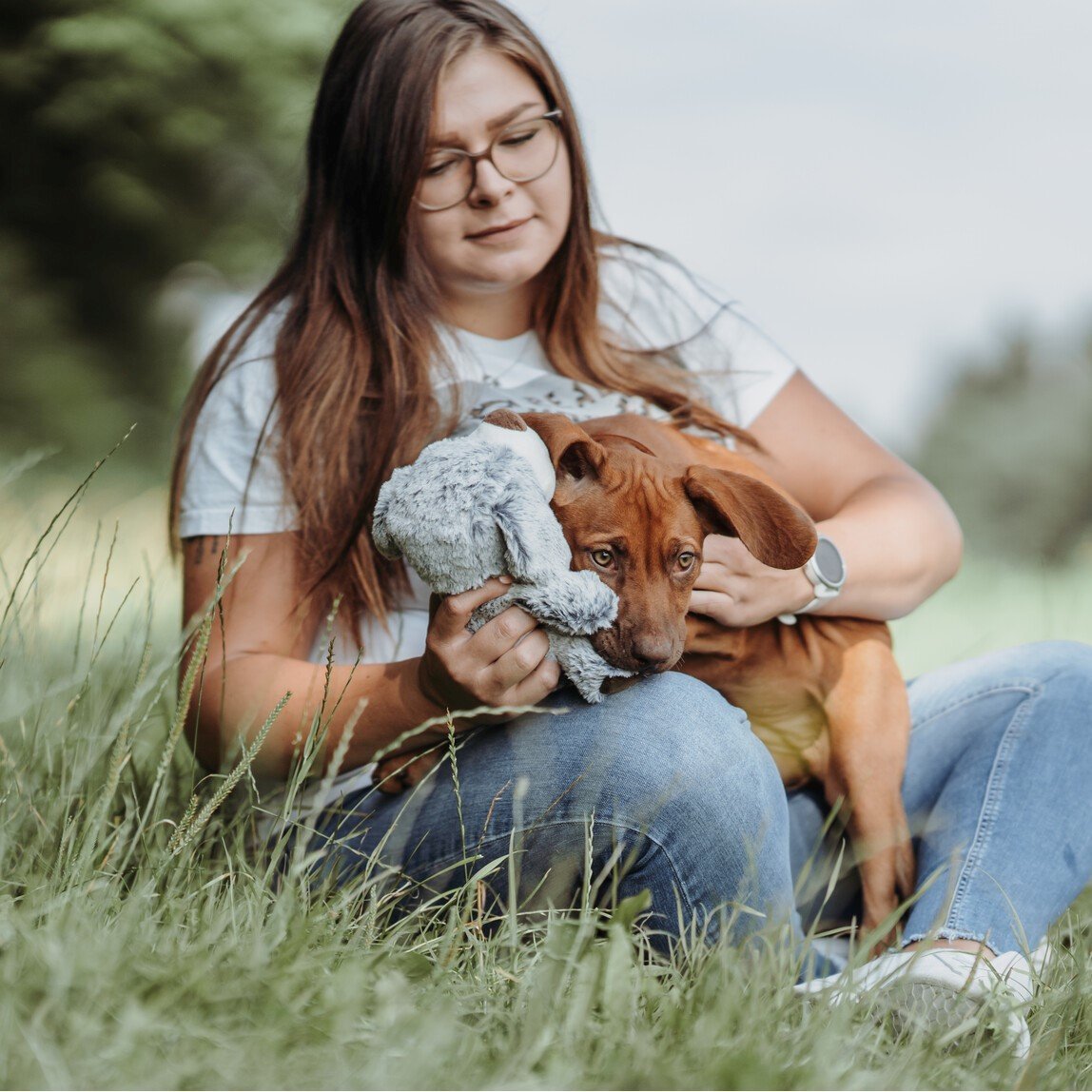 HUNTER Hundespielzeug Faro Bild 4