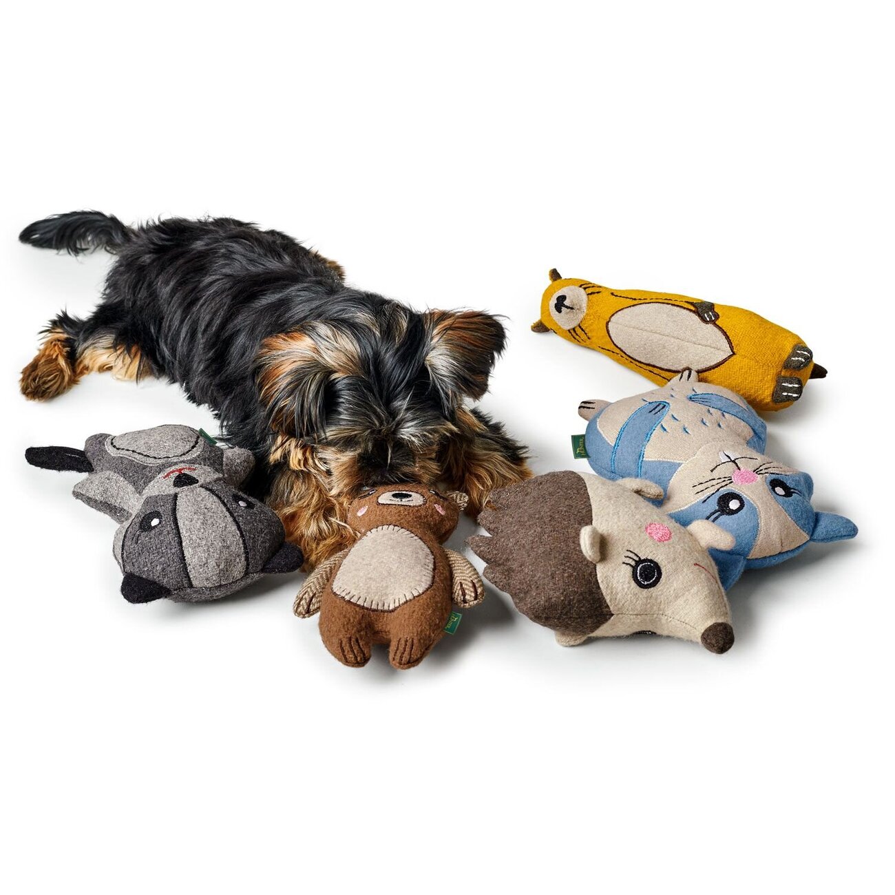 Hundespielzeug Fyn aus Baumwolle Bild 4