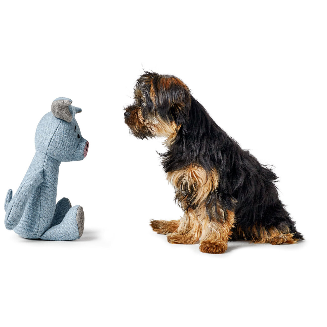 Hundespielzeug Marle Bild 6