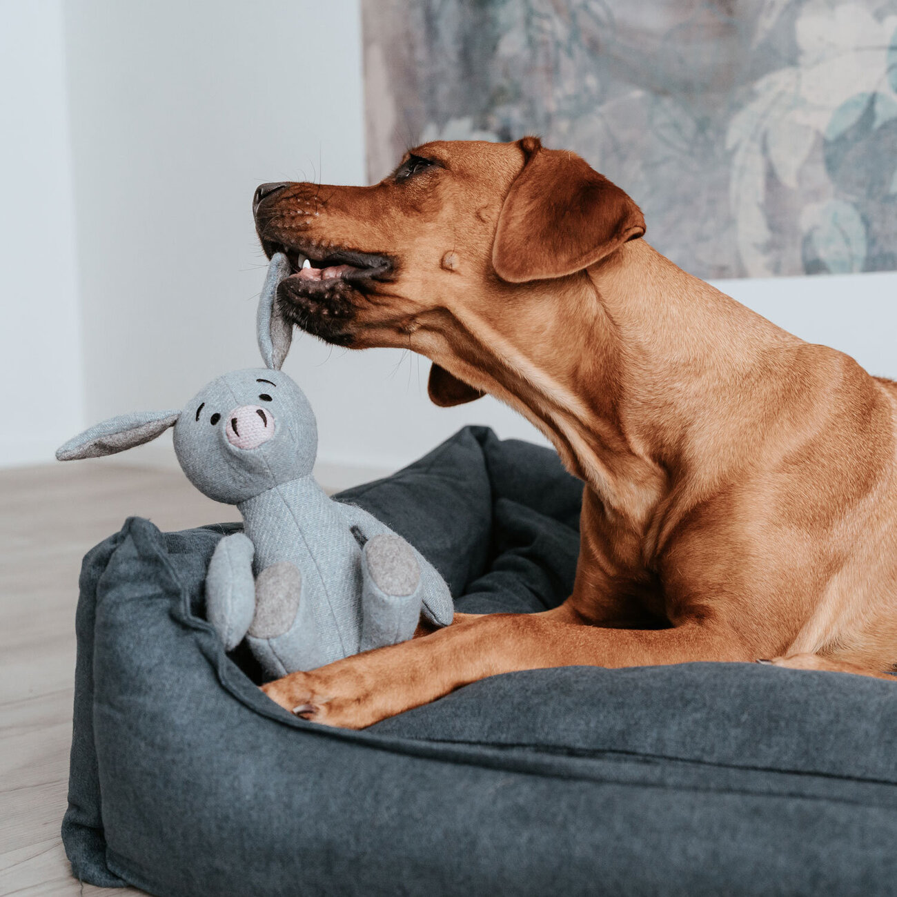 Hundespielzeug Marle Bild 10