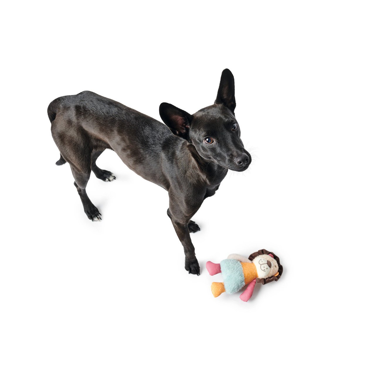 Hunter Hundespielzeug Muli Bild 5