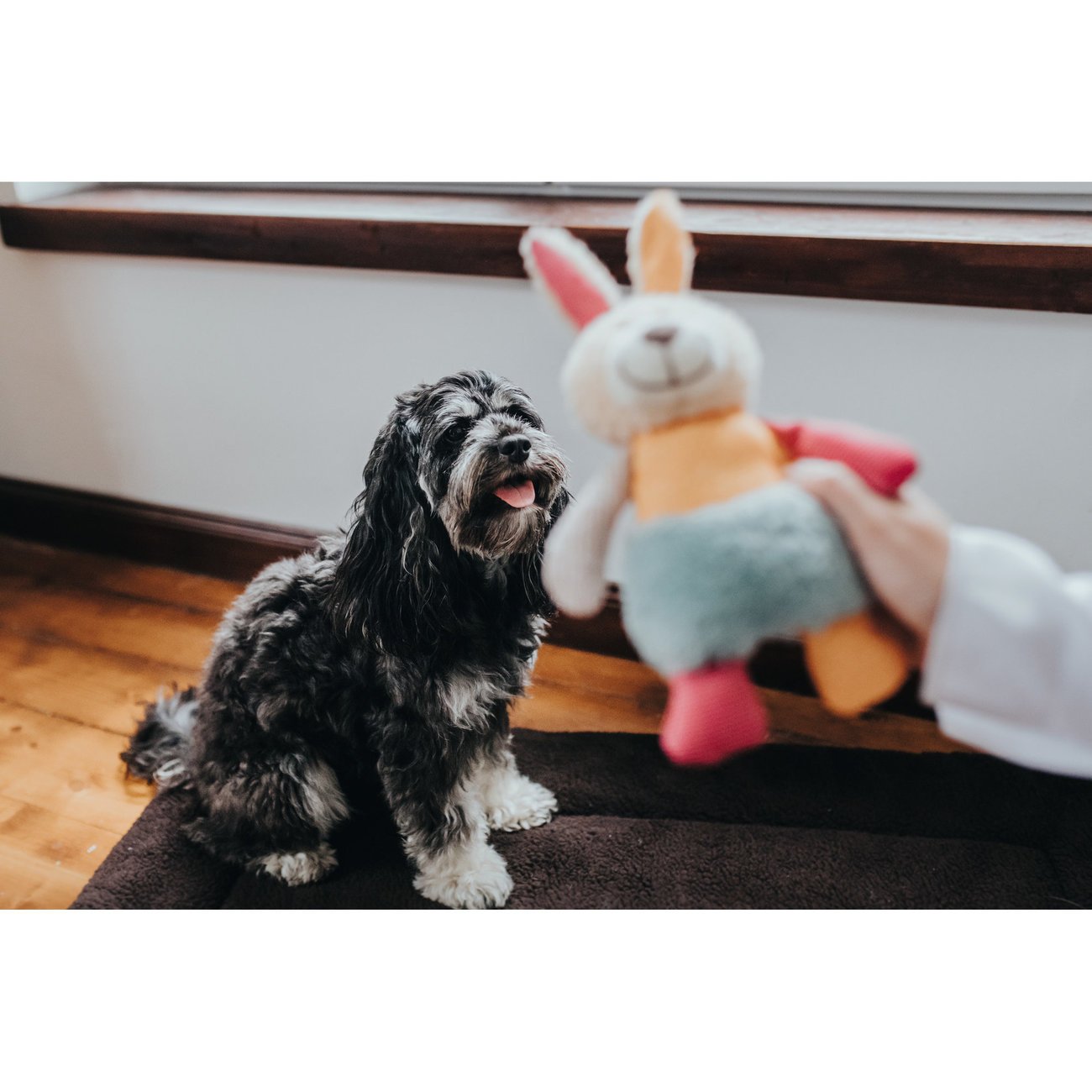 Hunter Hundespielzeug Muli Bild 7