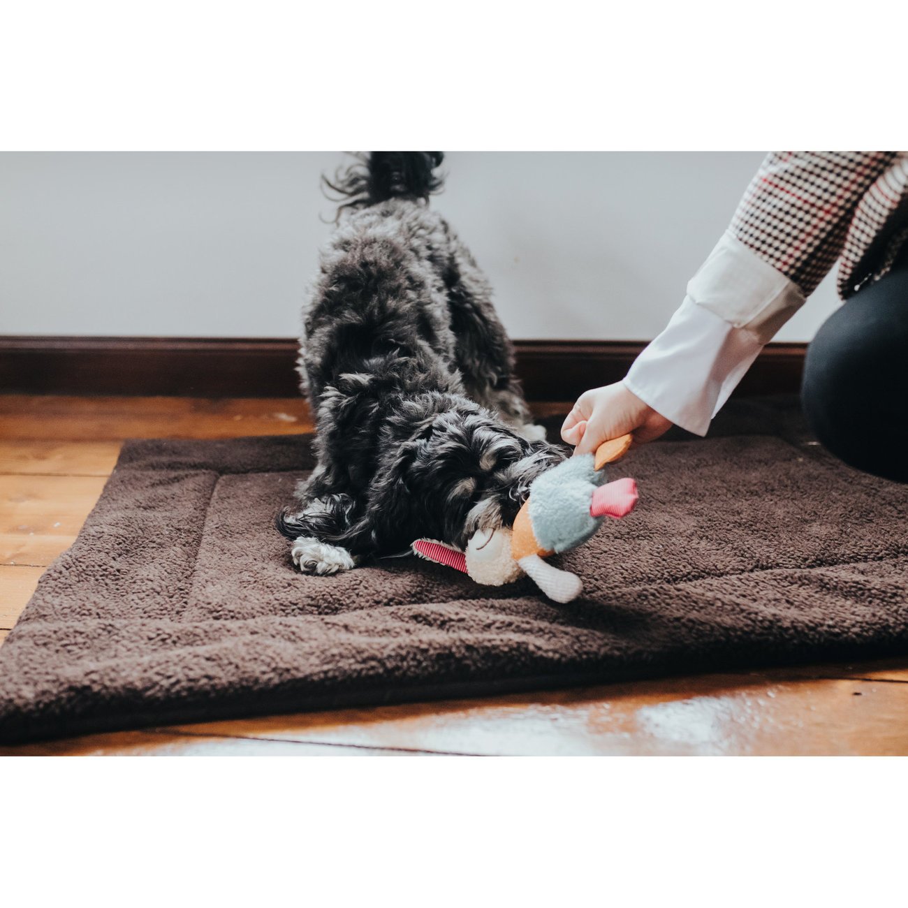 Hunter Hundespielzeug Muli Bild 8