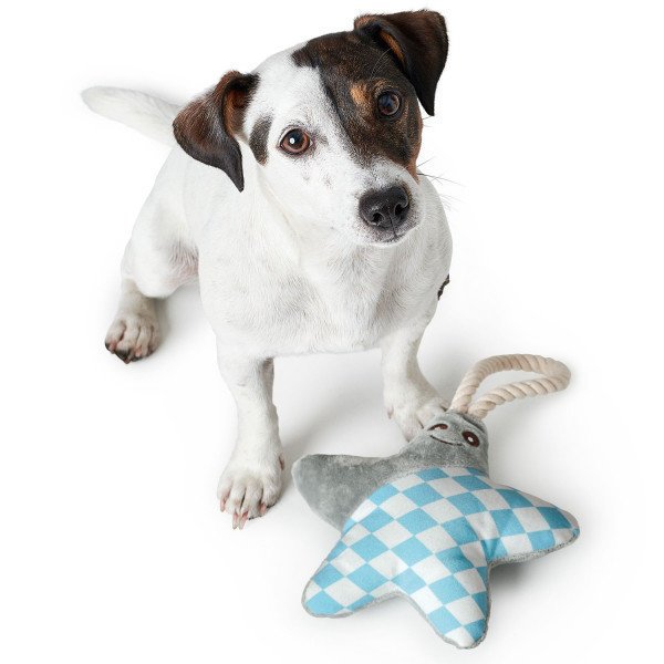 Hunter Hundespielzeug Salima Bild 1