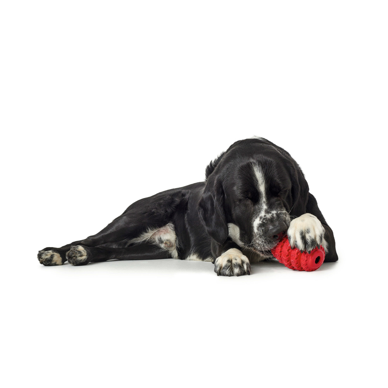 Hunter Hundespielzeug Talvik Reifen Bild 2