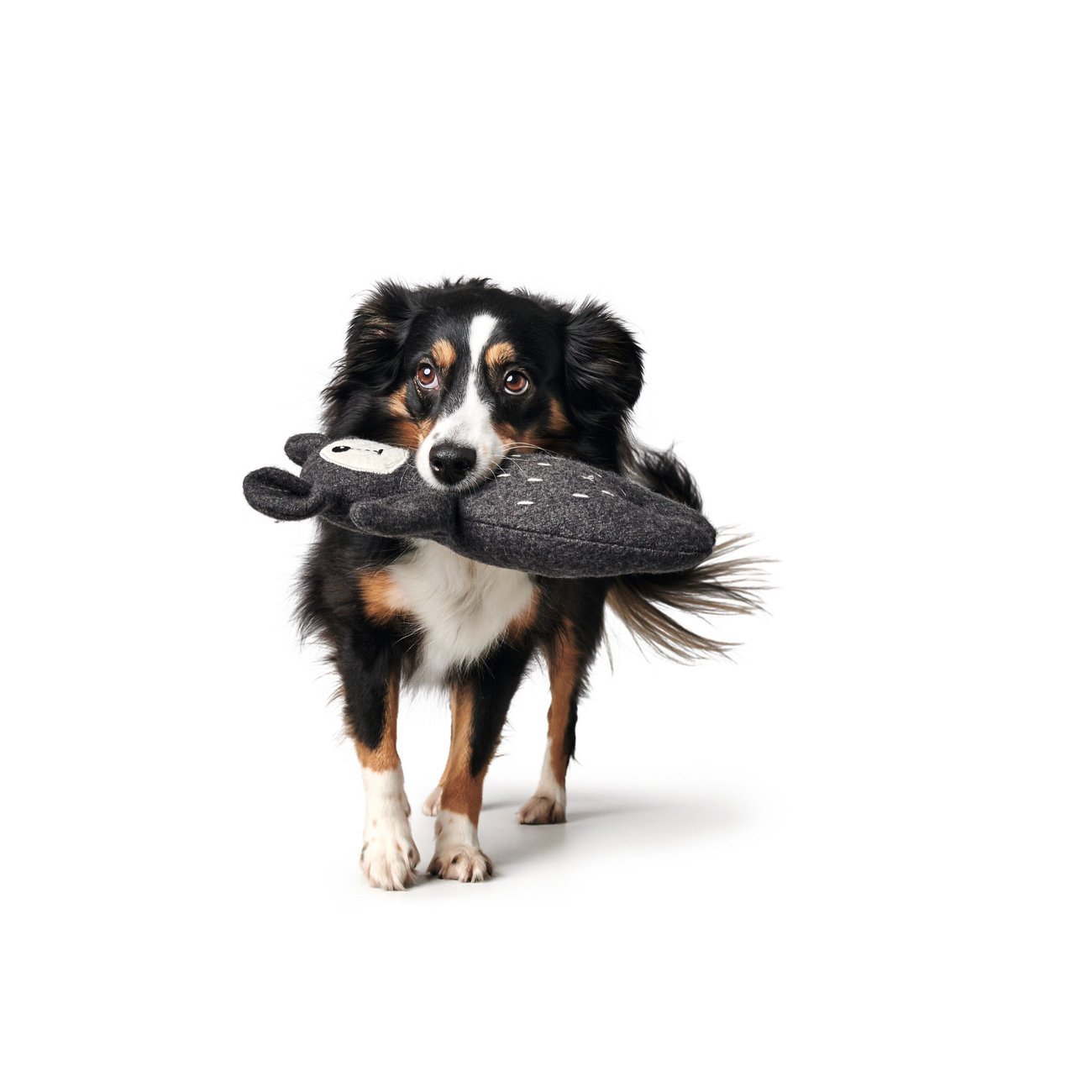 Hunter Hundespielzeug Tirana Bild 7