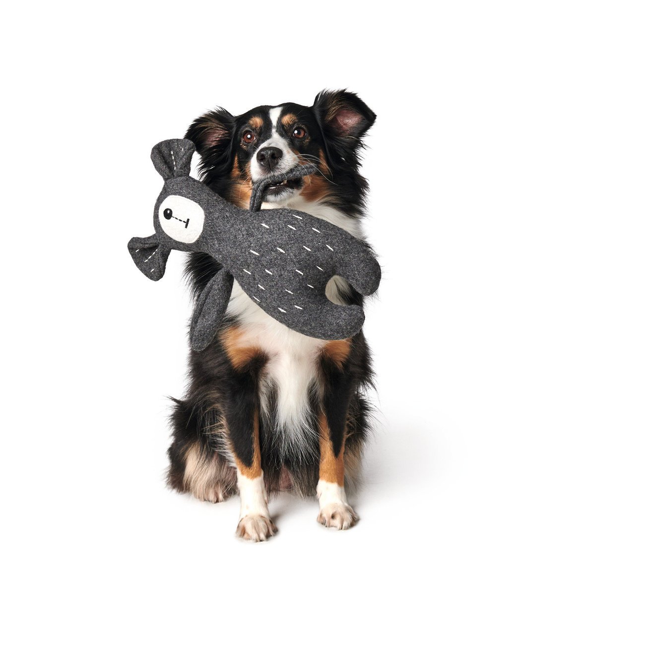 Hunter Hundespielzeug Tirana Bild 11