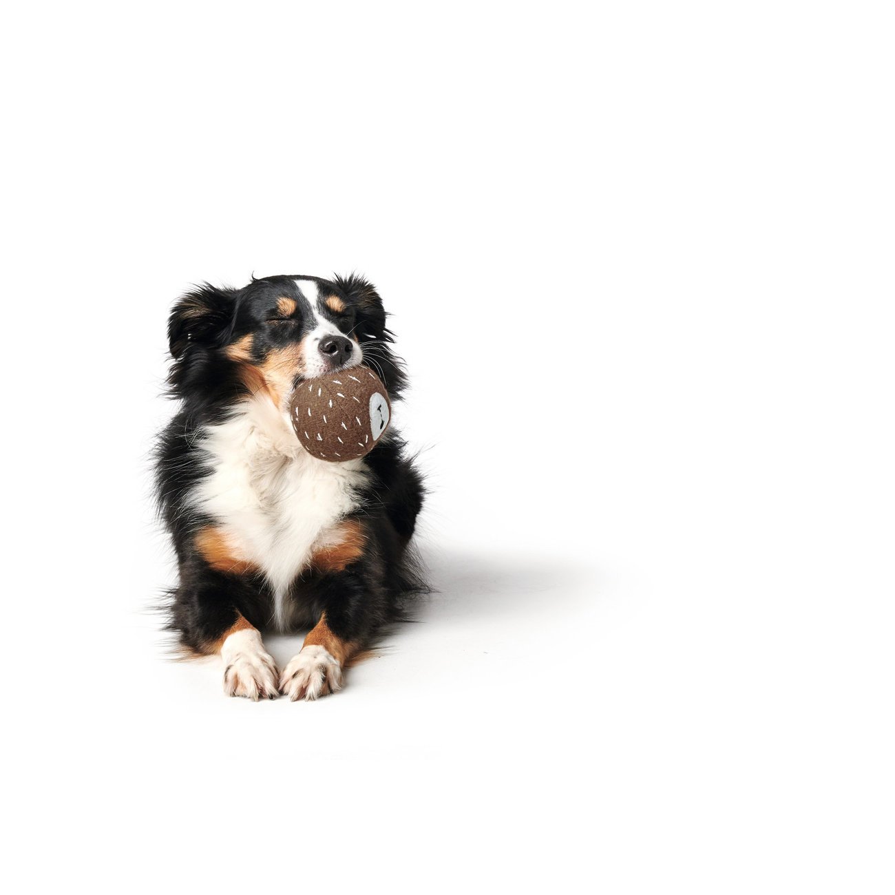 Hunter Hundespielzeug Tirana Bild 12