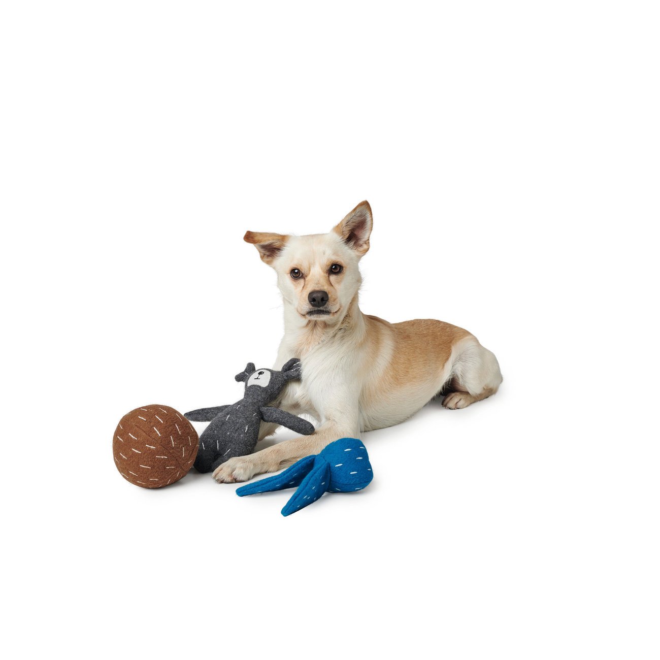 Hunter Hundespielzeug Tirana Bild 13