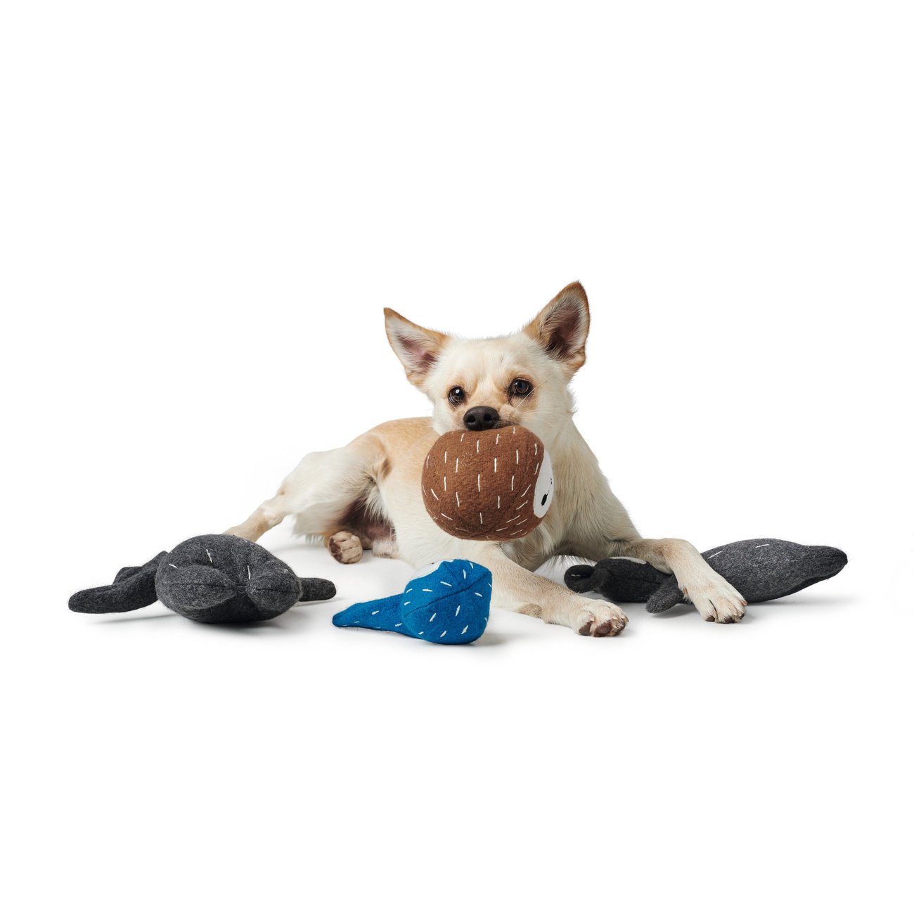 Hunter Hundespielzeug Tirana Bild 5