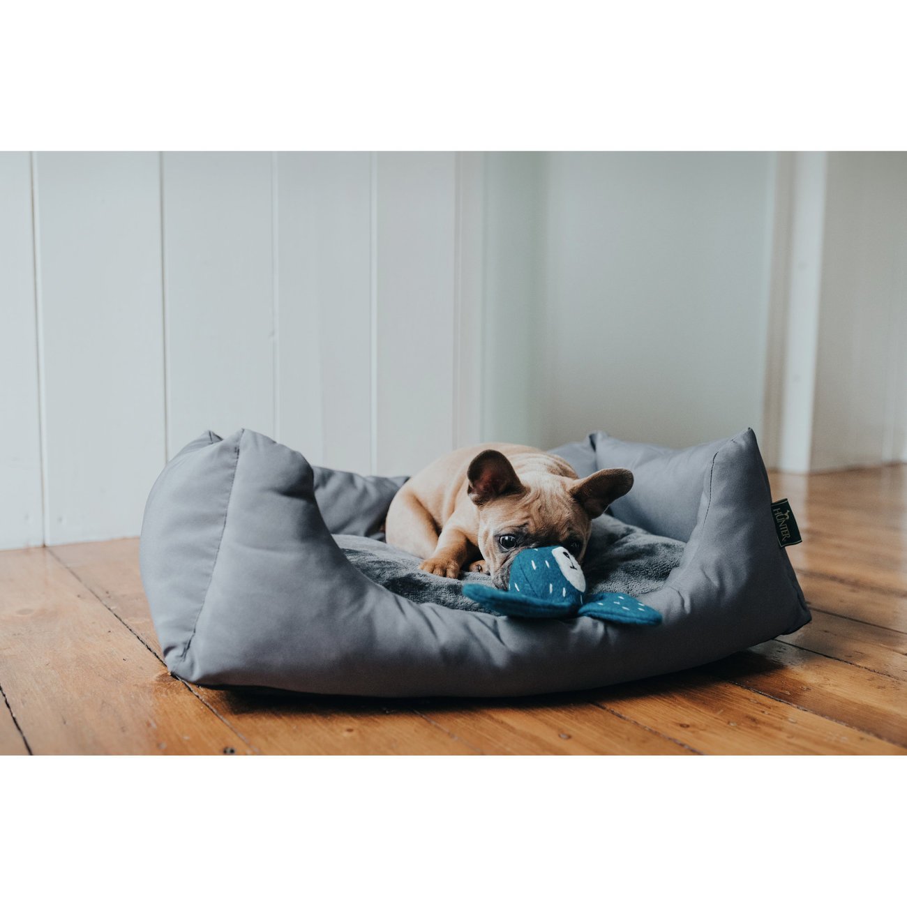 Hunter Hundespielzeug Tirana Bild 15