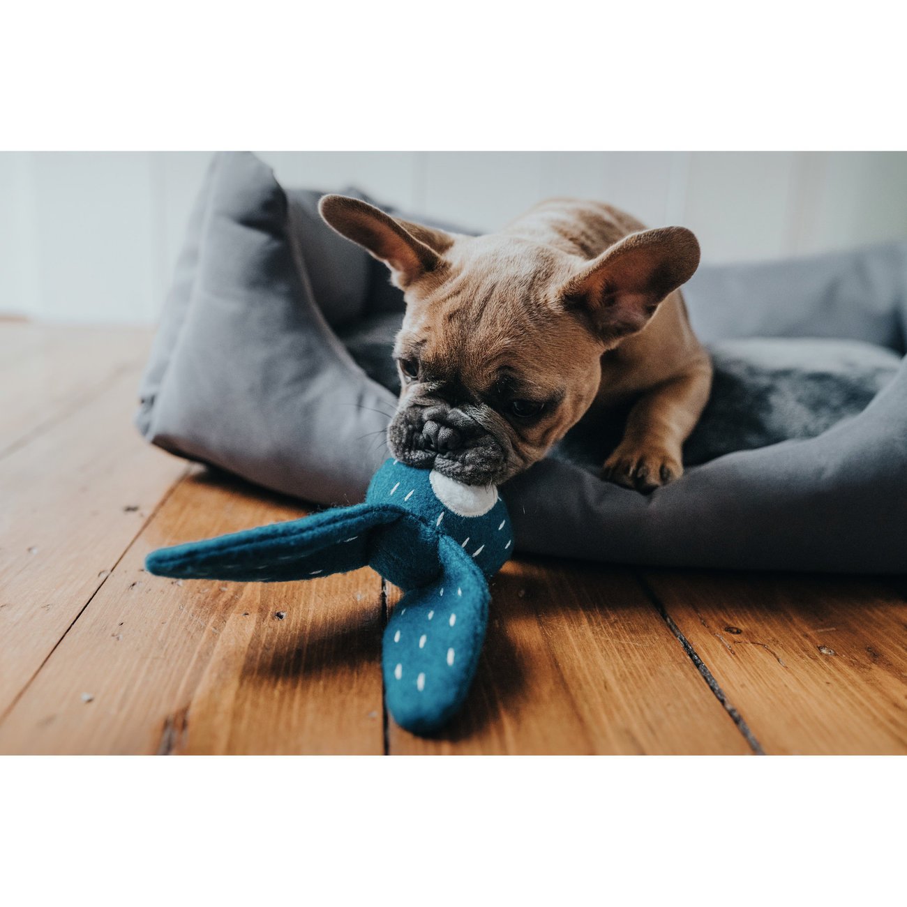 Hunter Hundespielzeug Tirana Bild 16