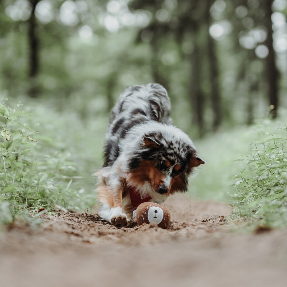 Hunter Hundespielzeug Tirana Bild 4