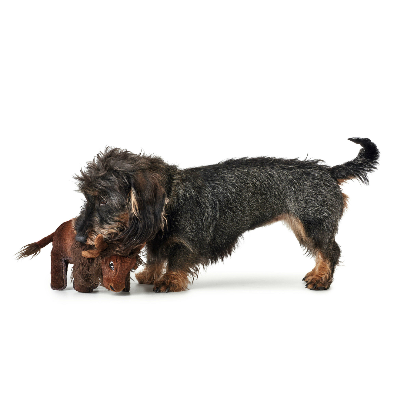 Hunter Hundespielzeug Tough Kamerun Stofftier Bild 5