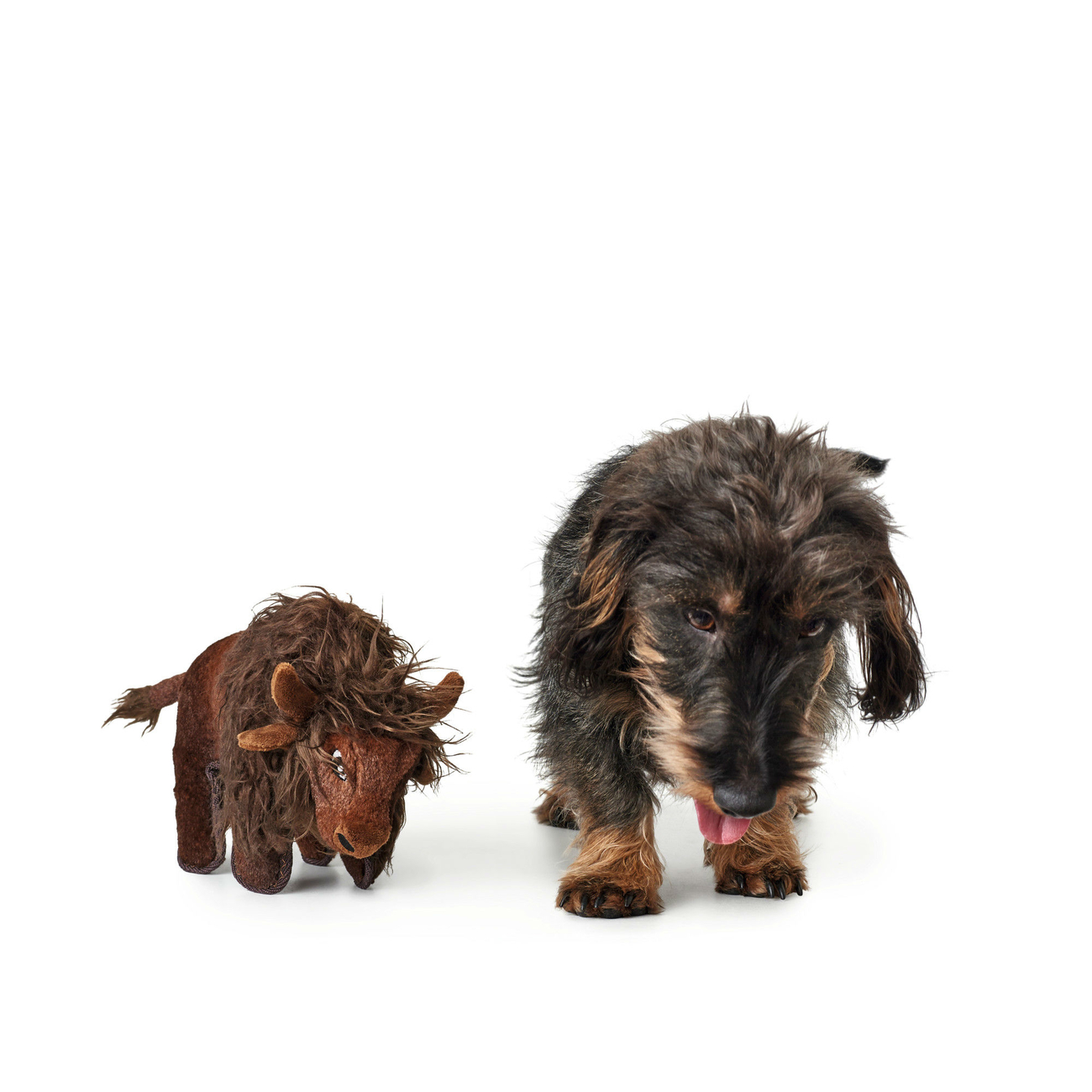 Hunter Hundespielzeug Tough Kamerun Stofftier Bild 6