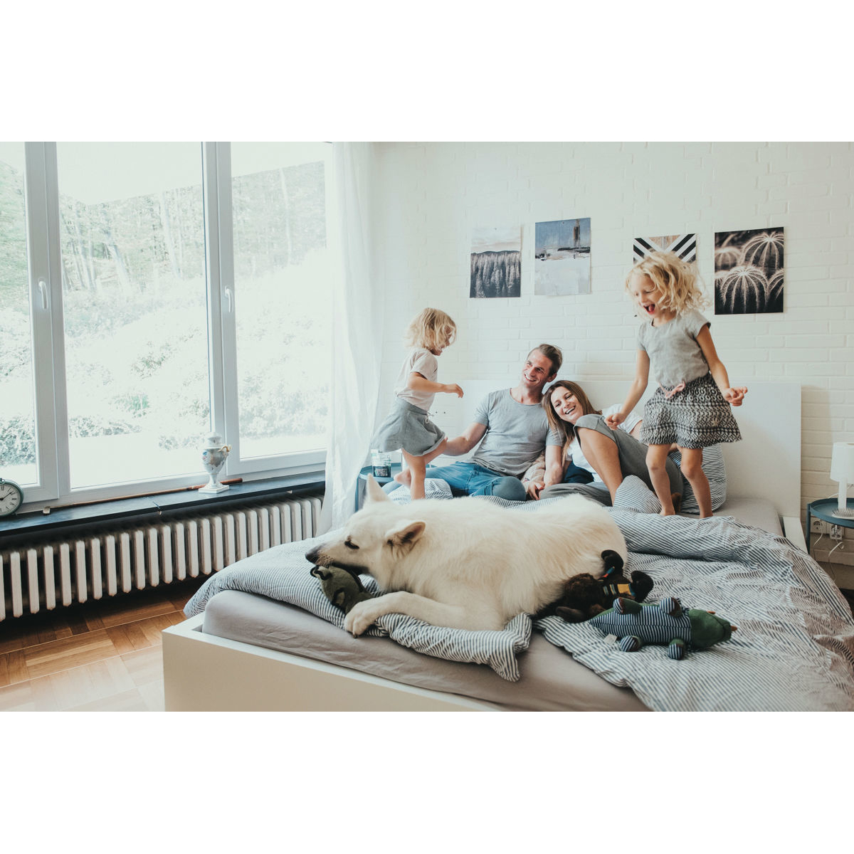 Hunter Hundespielzeug Tough Toys Bild 6