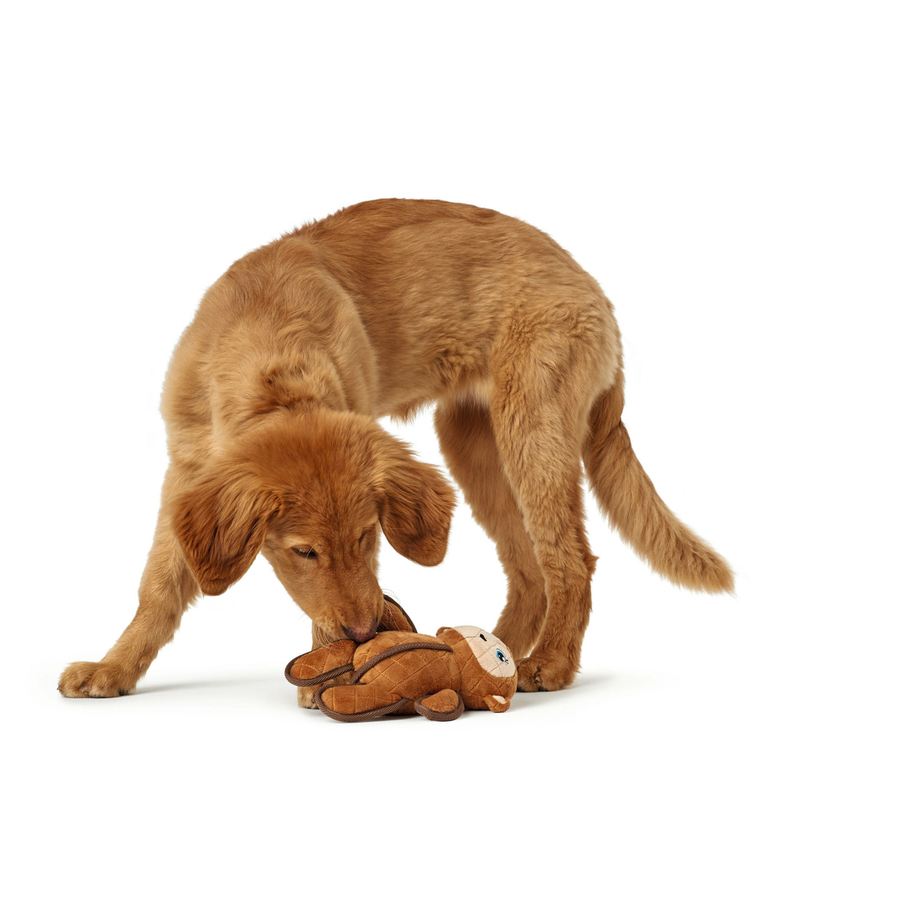 Hunter Hundespielzeug Tough Toys Bild 2