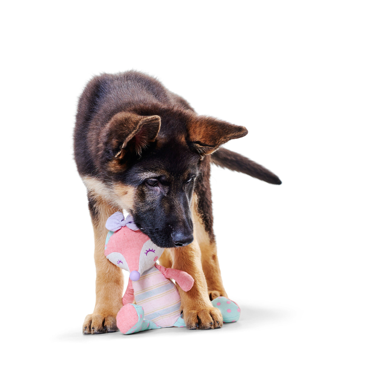 Hunter Hundespielzeug Windhuk Bild 4