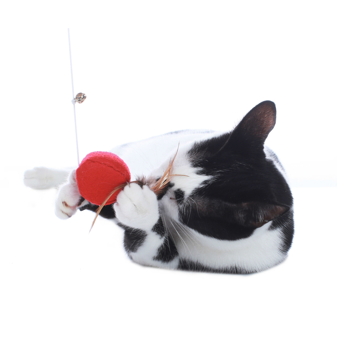 Hunter Katzen Spielangel by Laura Bild 5
