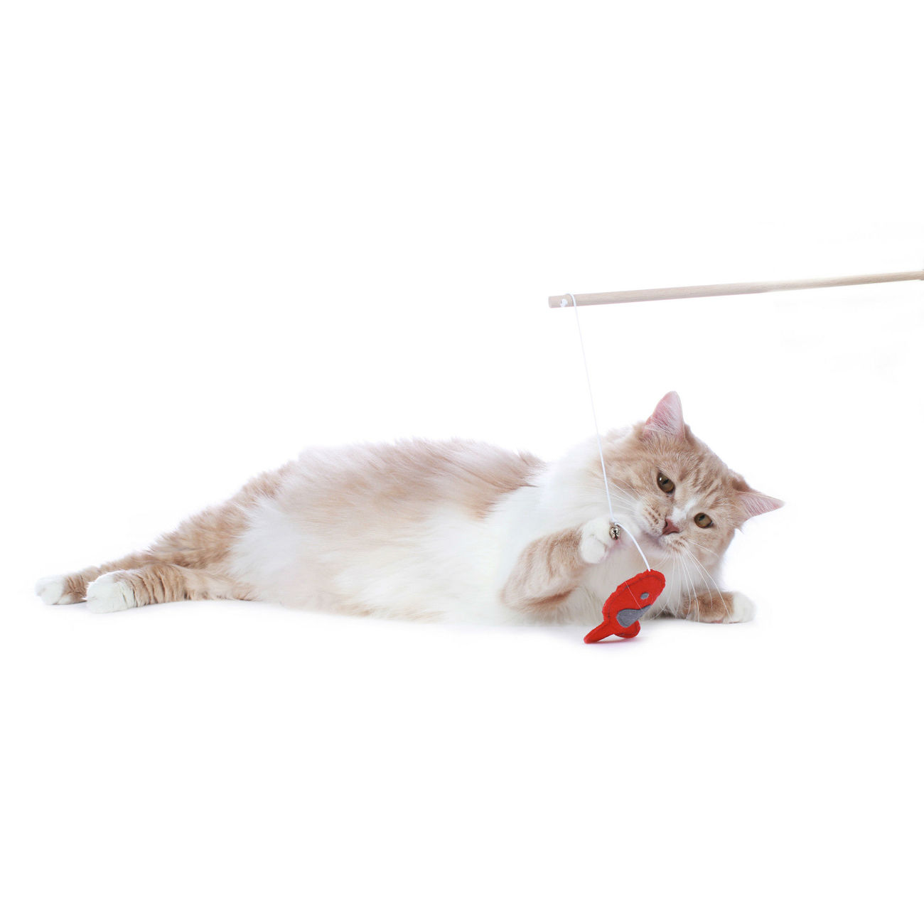 Hunter Katzen Spielangel by Laura Bild 9