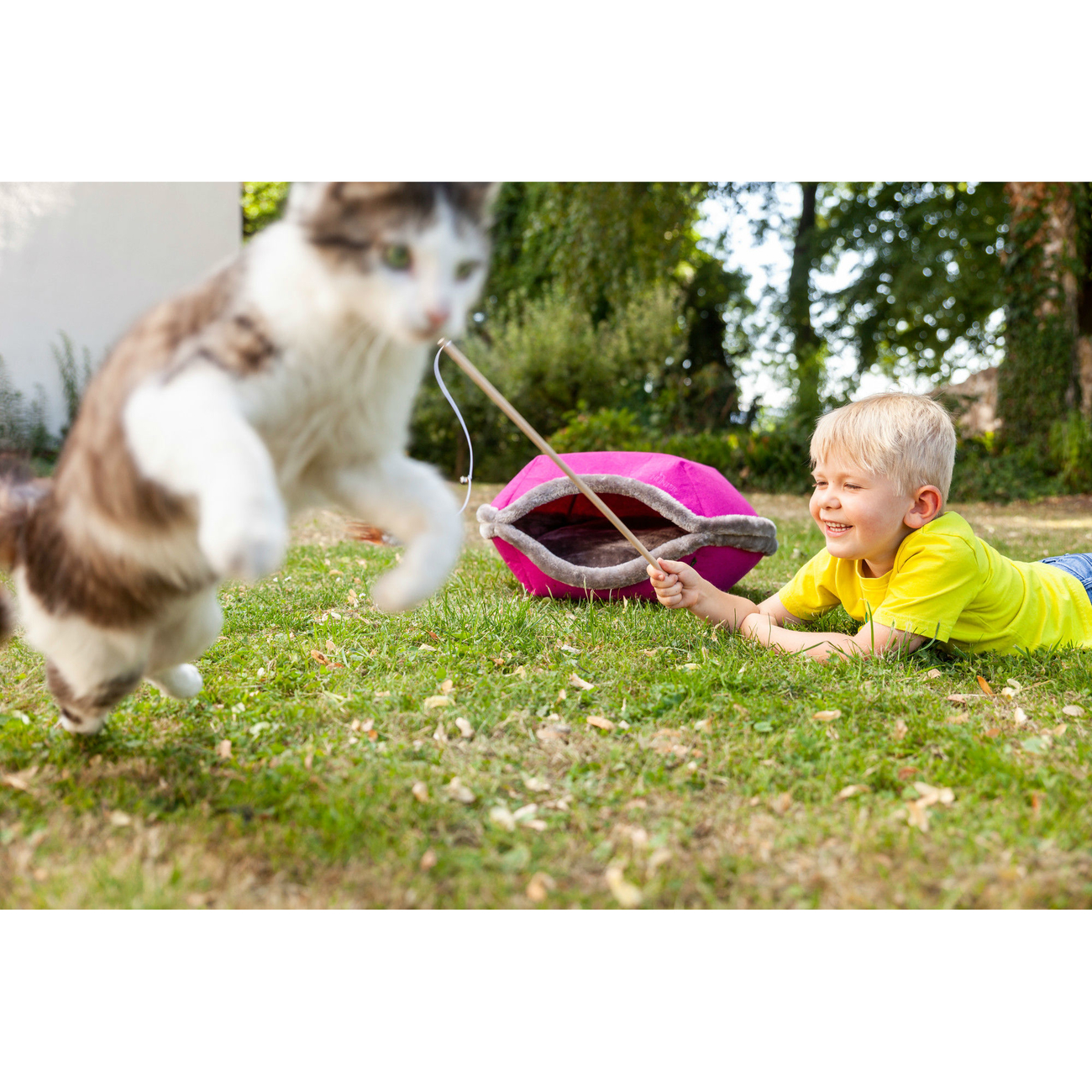 Hunter Katzen Spielangel by Laura Bild 11