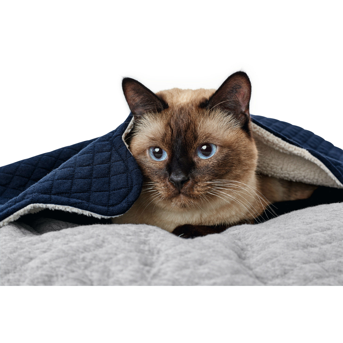 Hunter Katzenbett und Hundebett Ballina Bild 7