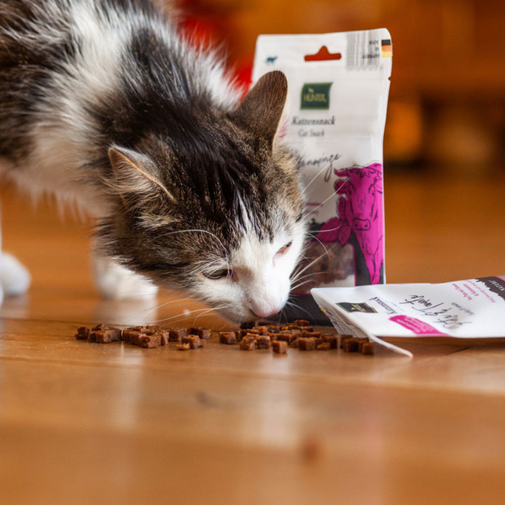 Hunter Katzensnack Rind Bild 5