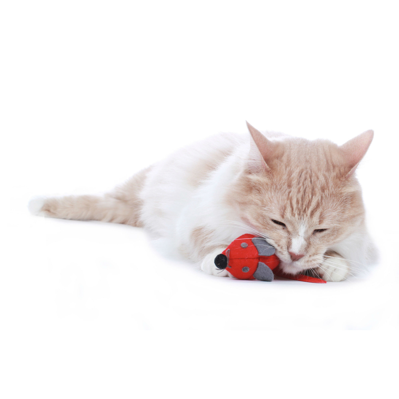 Hunter Katzenspielzeug by Laura Bild 12