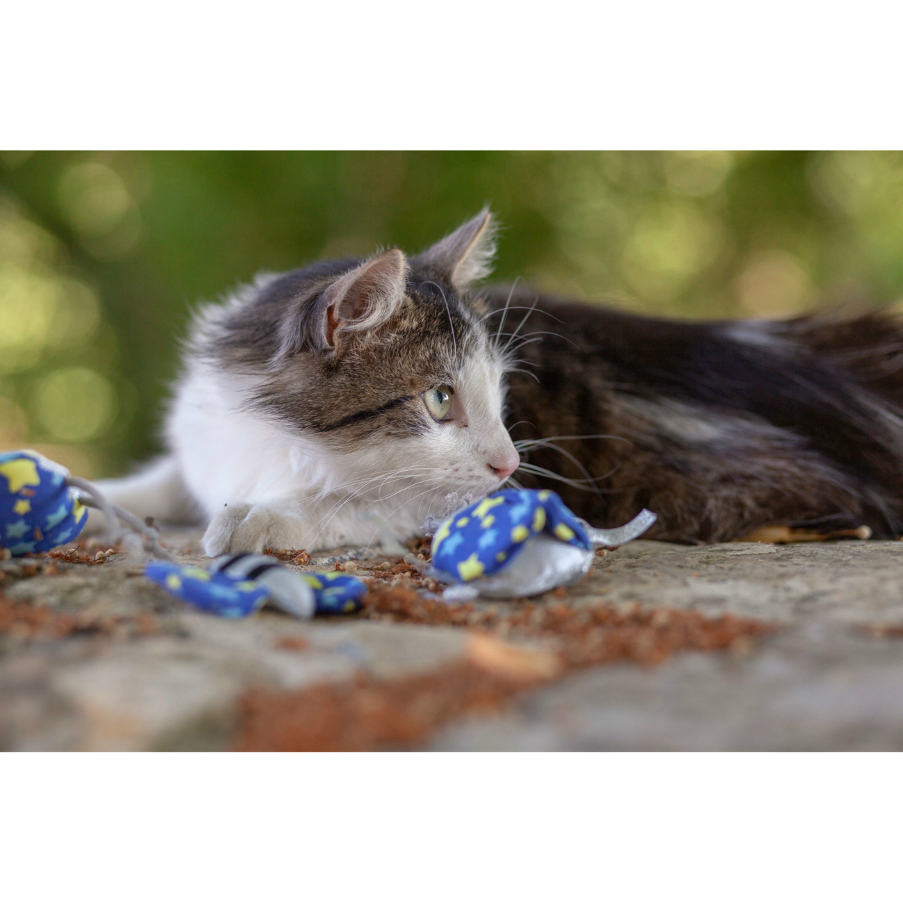 Hunter Katzenspielzeug Kerikeri Bild 5