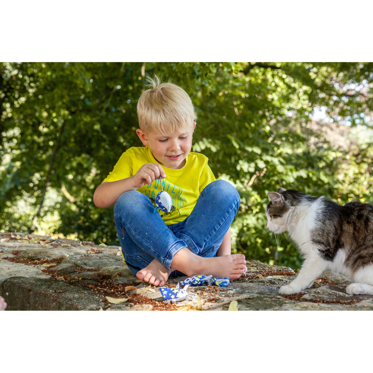 Hunter Katzenspielzeug Kerikeri Bild 6