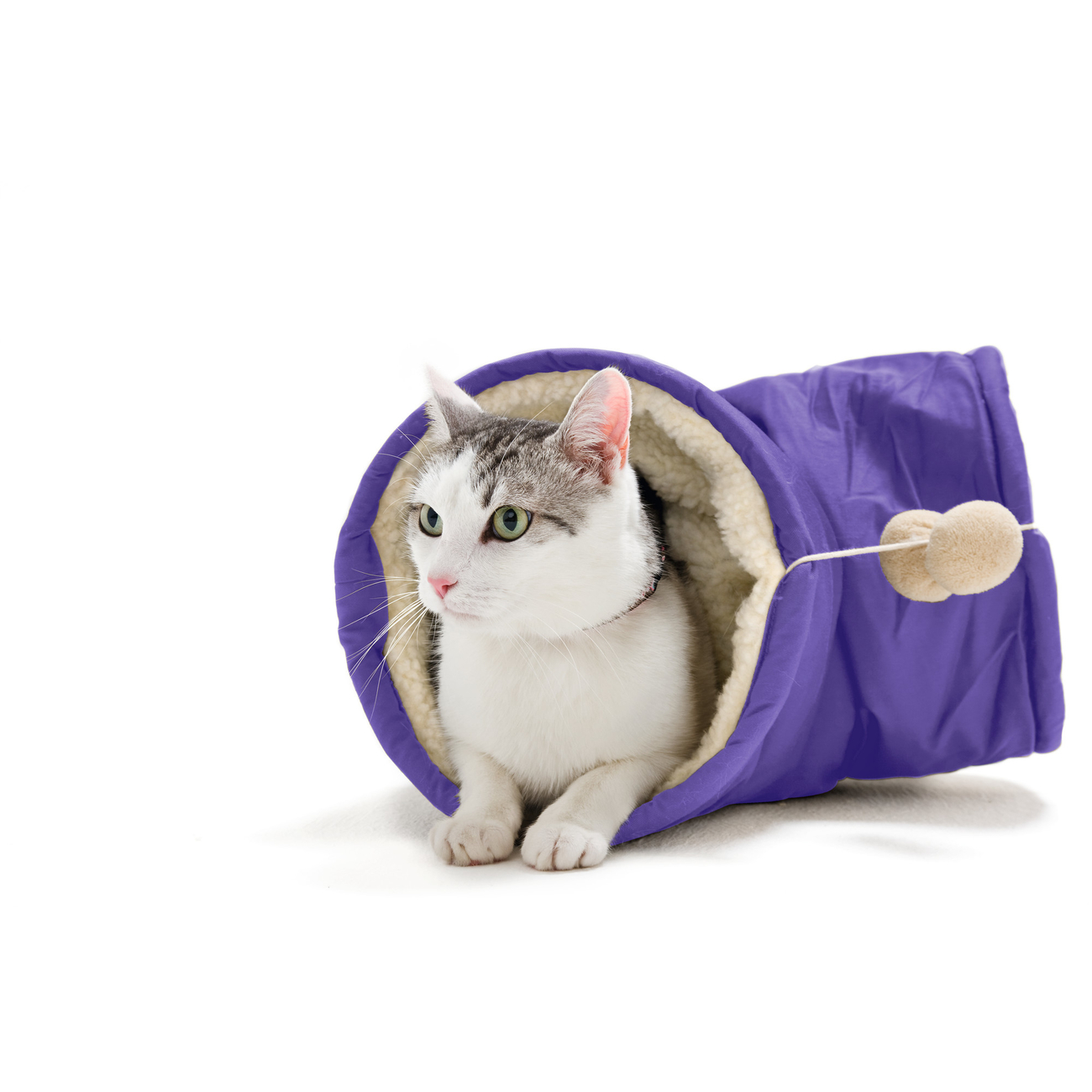 Hunter Katzentunnel Bild 1