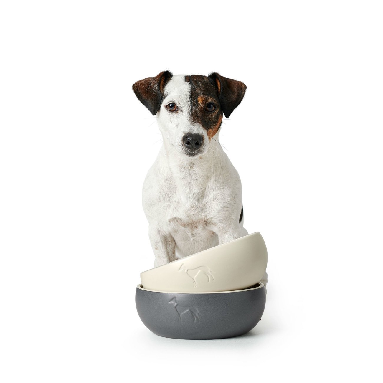 Keramik Hundenapf Lund Bild 10