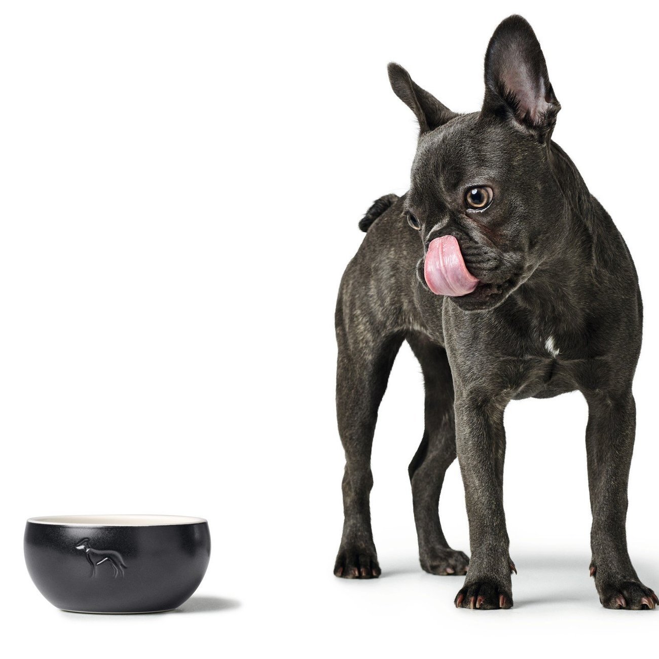 Keramik Hundenapf Lund Bild 17