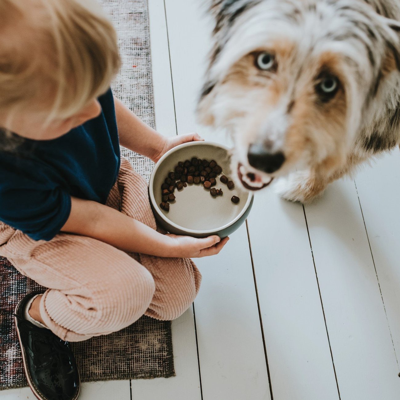 Keramik Hundenapf Lund Bild 2